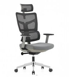 Ergonomic High Back Mesh Chair