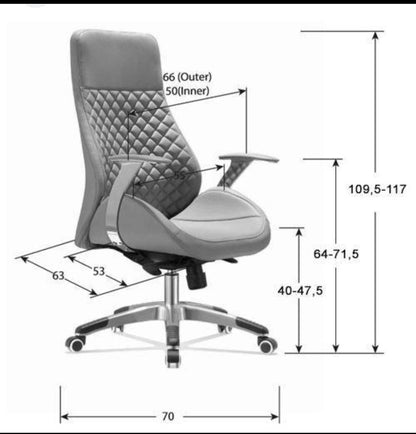 Promax Leather Chair